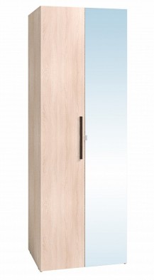 Шкаф для одежды 2-х дверный 8 Bauhaus в Среднеколымске - mebel154.com