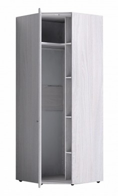Шкаф для одежды угловой 56 Paola в Среднеколымске - mebel154.com
